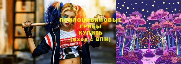 амф Аркадак